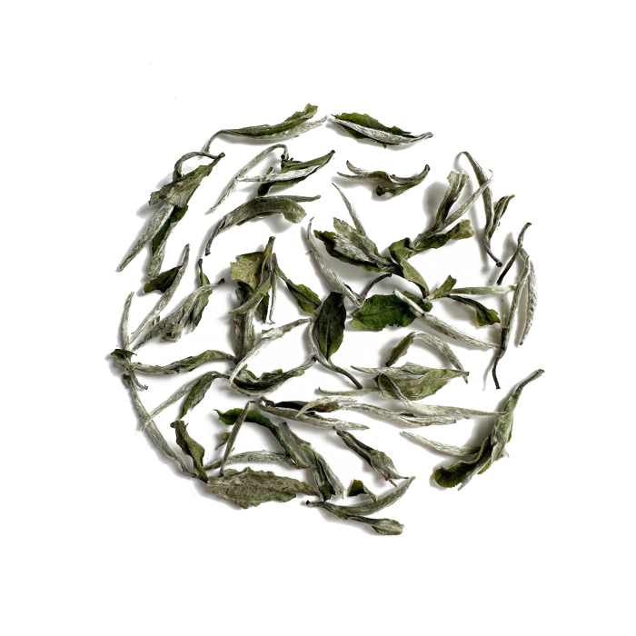 福建白牡丹白茶..